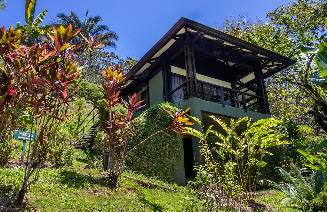 Tiki Villas Rainforest Lodge & Spa-1