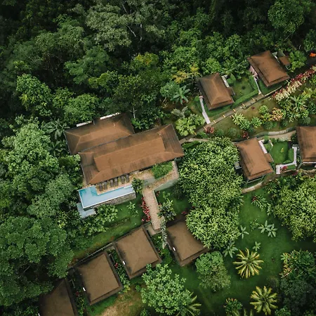 Tiki Villas Rainforest Lodge & Spa-2